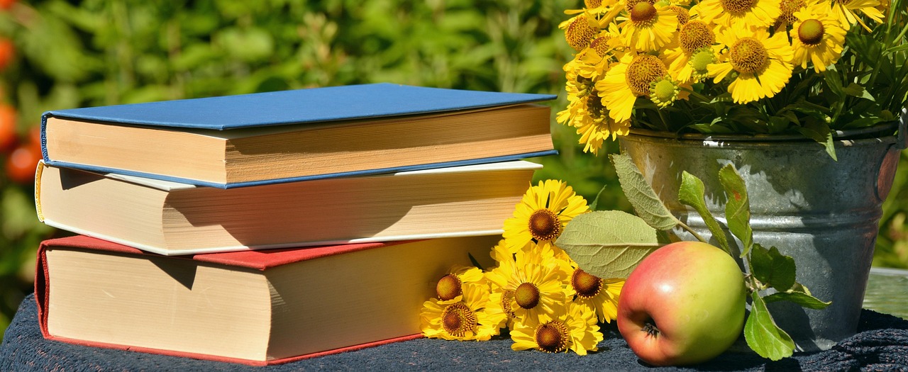 The Art of the Short Story Collection: Reading a Book of Poems in Disguise