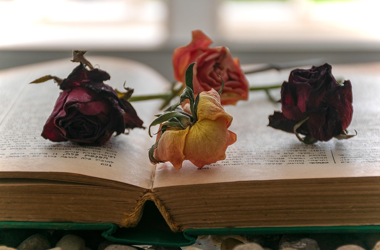 The Weight of Small Things: On Alice Munro's Late Stories